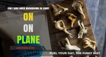 Can You Pack Dried Mushrooms in Your Carry-On Luggage?