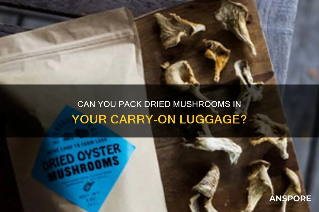 can i have dried mushrooms in carry on on plane