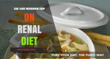 Mushroom Soup on a Renal Diet: Safe, Nutritious, and Delicious Options