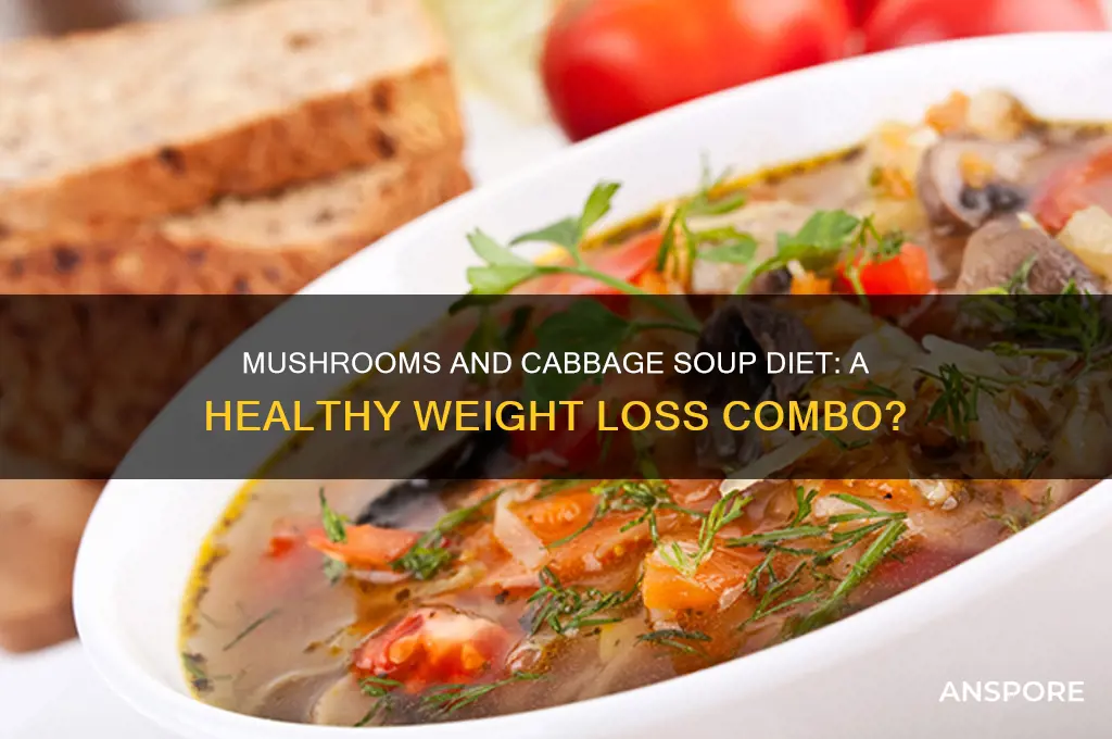 can i have mushrooms with cabbage soup diet