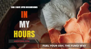 Open Mushrooms in Your Hours: Exploring Benefits, Risks, and Best Practices