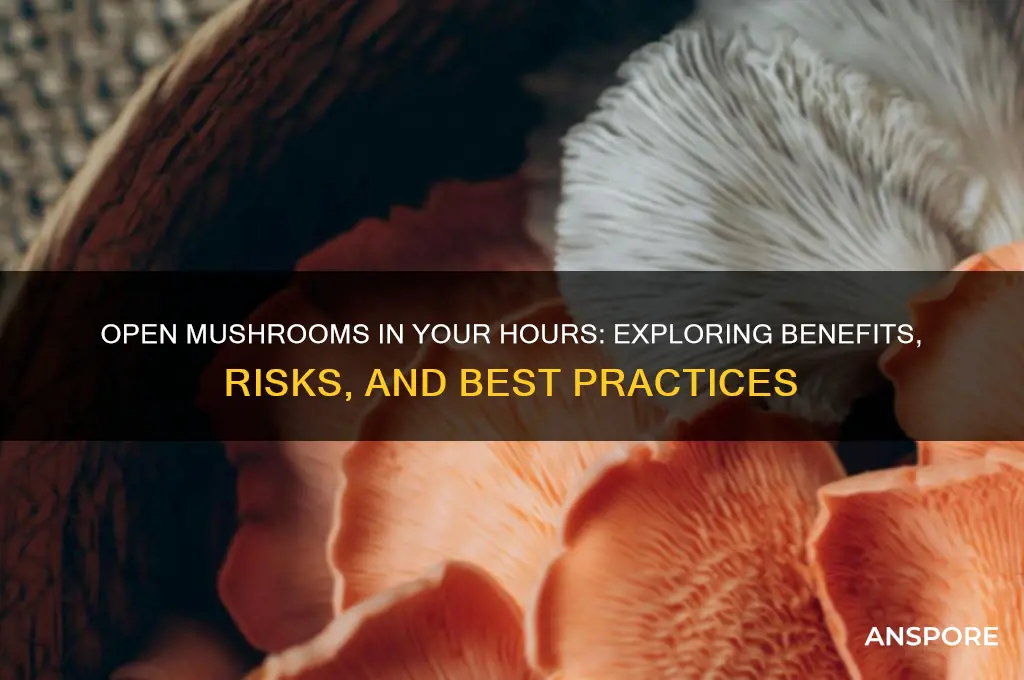 can i have open mushrooms in my hours