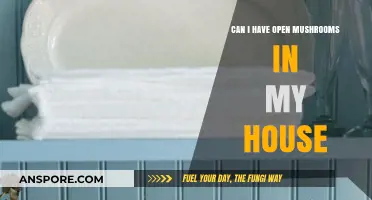 Open Mushrooms in Your Home: Benefits, Risks, and Best Practices