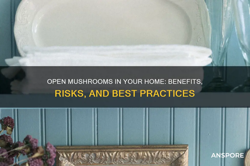 can i have open mushrooms in my house