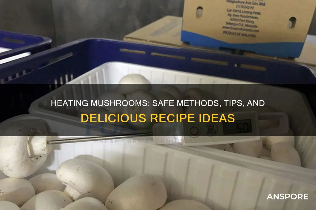 can i heat up mushrooms