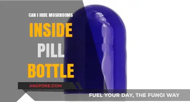 Creative Mushroom Storage: Hiding Fungi in Pill Bottles Safely