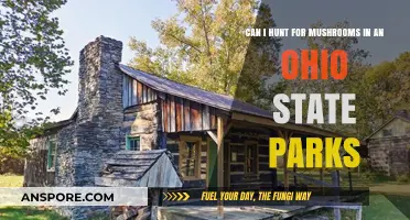 Ohio State Parks Mushroom Foraging: Rules, Tips, and Best Spots