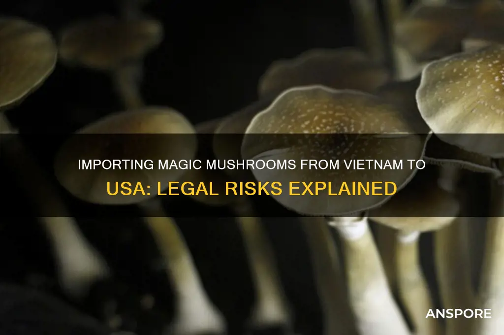 can i import magic mushrooms from vietnam to usa