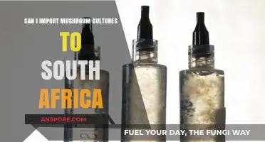 Importing Mushroom Cultures to South Africa: Legalities and Best Practices