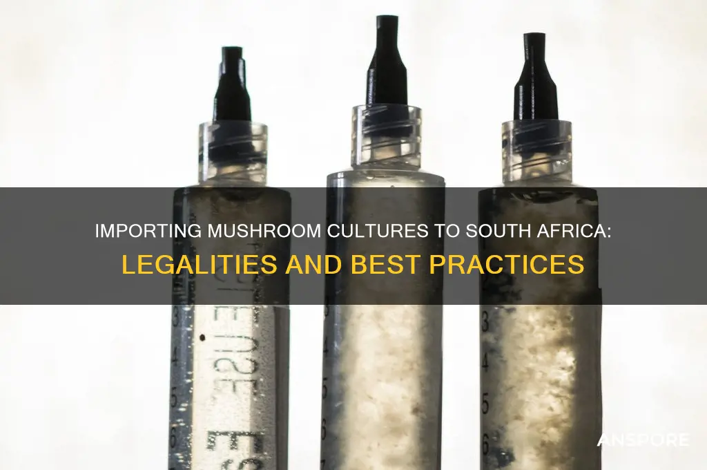 can i import mushroom cultures to south africa