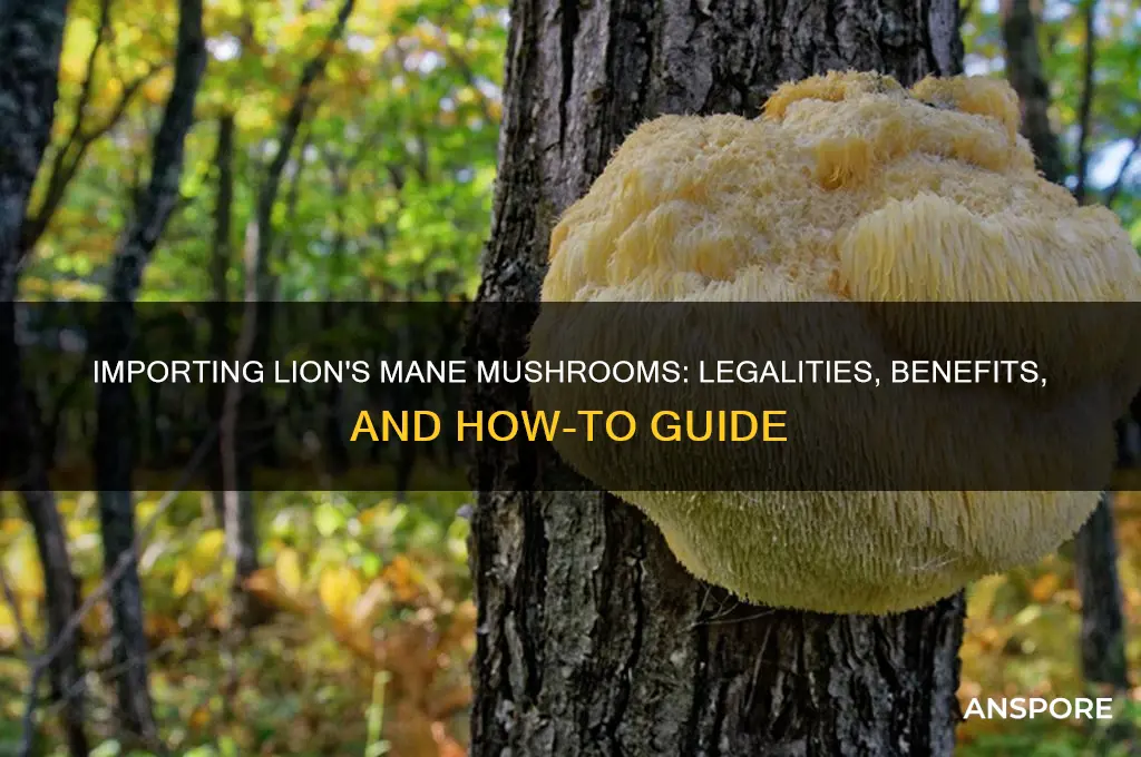 can i important lion mane mushrooms