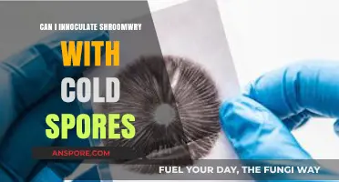 Inoculating Mushroom Mycelium with Cold Spores: Risks and Best Practices