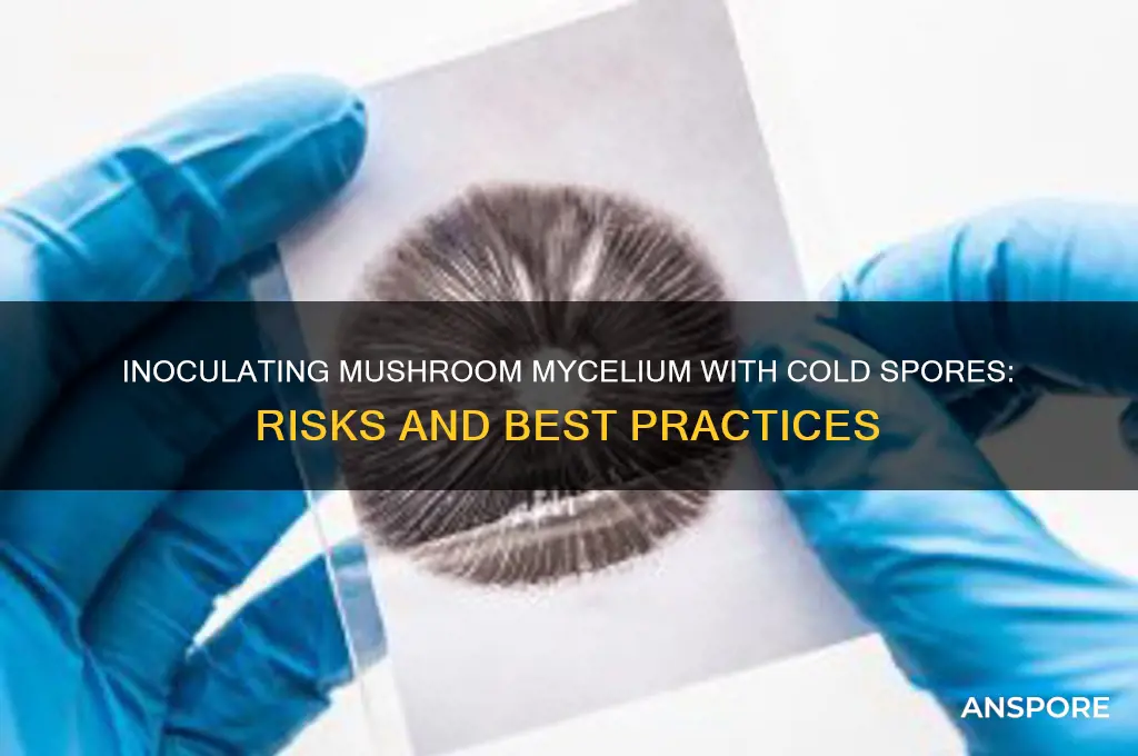 can i innoculate shroomwry with cold spores