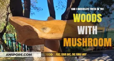 Inoculating Wild Trees with Mushrooms: A Woodland Mycorrhizal Guide