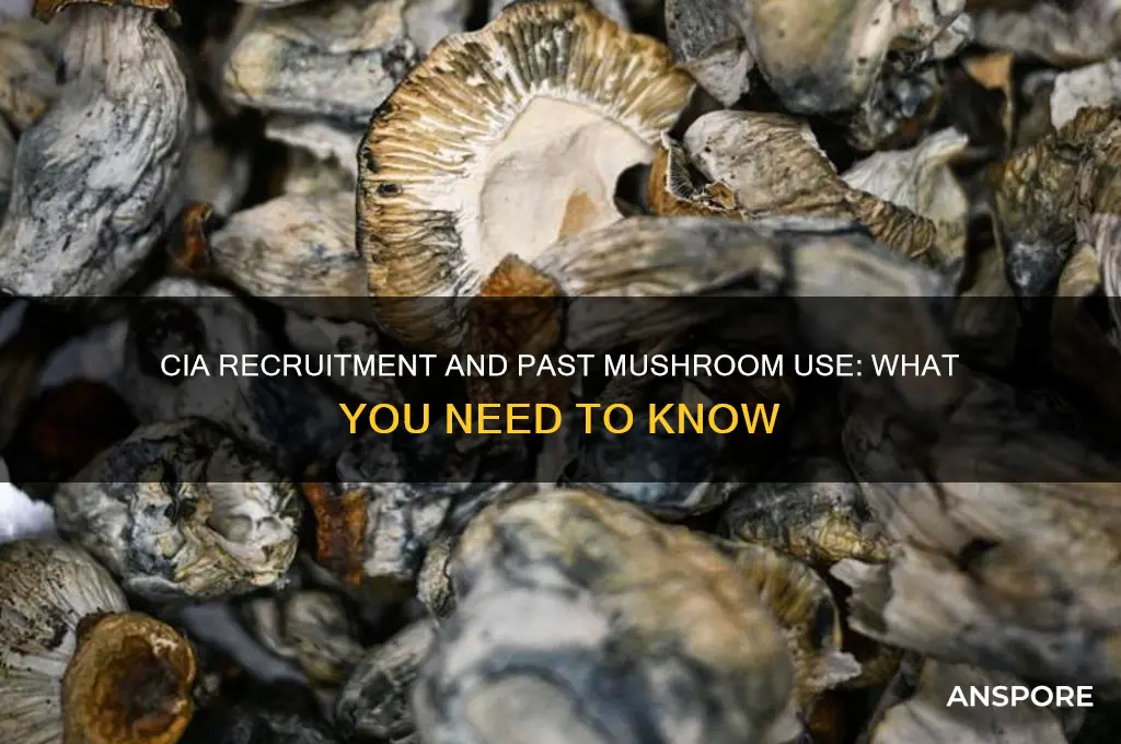 can i join the cia if ive done mushrooms