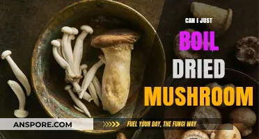 Boiling Dried Mushrooms: A Simple Rehydration Method for Delicious Results