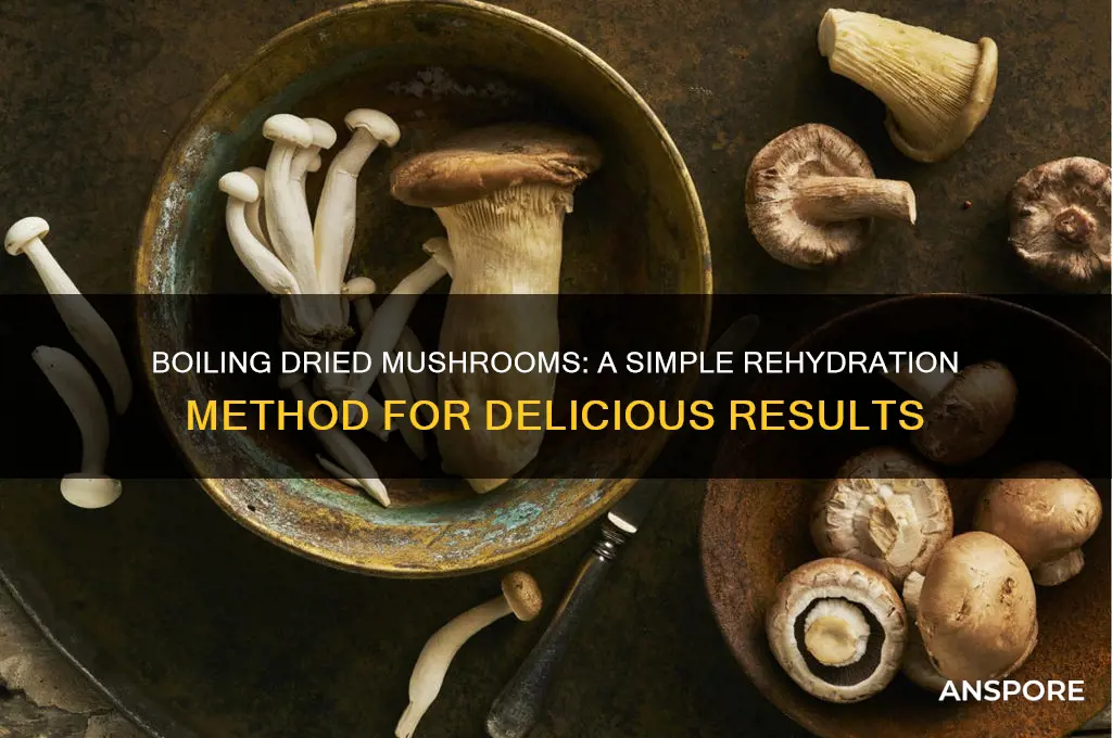 can i just boil dried mushrooms