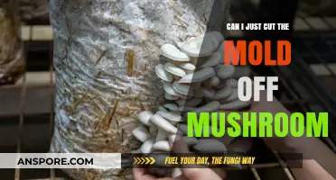 Can You Safely Cut Mold Off Mushrooms? Expert Tips and Advice