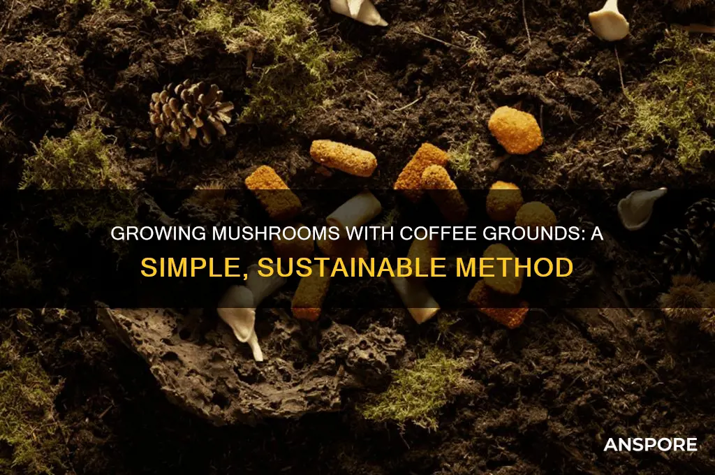 can i just grow mushrooms with coffee grounds