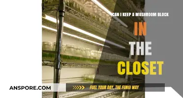 Storing Mushroom Blocks in Closets: Tips for Freshness and Safety