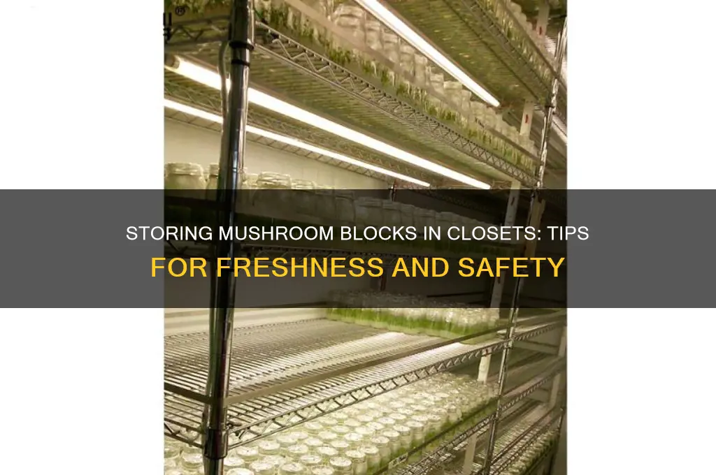 can i keep a mushroom block in the closet