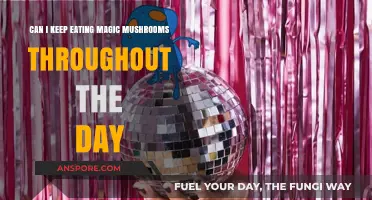 Daily Magic Mushroom Use: Safe or Risky Practice?