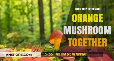 Keeping Green and Orange Mushrooms Together: Compatibility and Care Tips