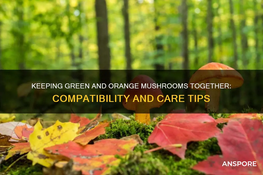 can i keep green and orange mushroom together