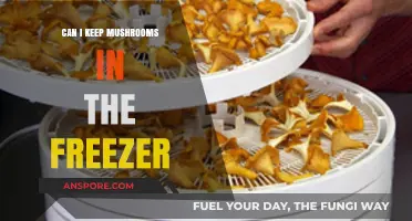 Freezing Mushrooms: A Guide to Proper Storage and Freshness