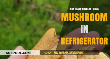 Storing Pheasant Back Mushrooms: Refrigeration Tips for Freshness and Safety