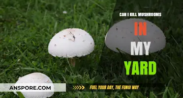 Effective Ways to Eliminate Unwanted Mushrooms in Your Yard