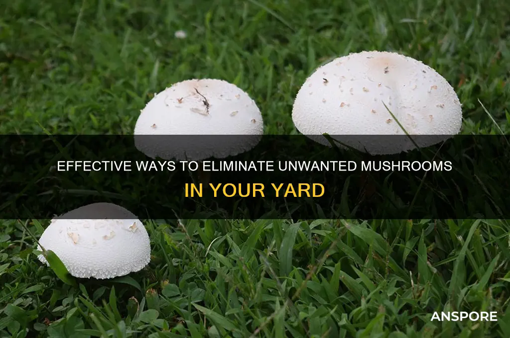 can i kill mushrooms in my yard
