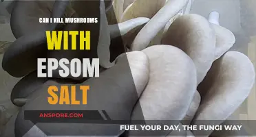 Epsom Salt for Mushroom Control: Effective Solution or Myth?