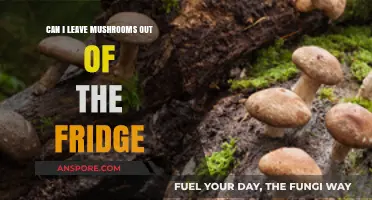 Should Mushrooms Be Refrigerated? Storage Tips for Freshness and Safety