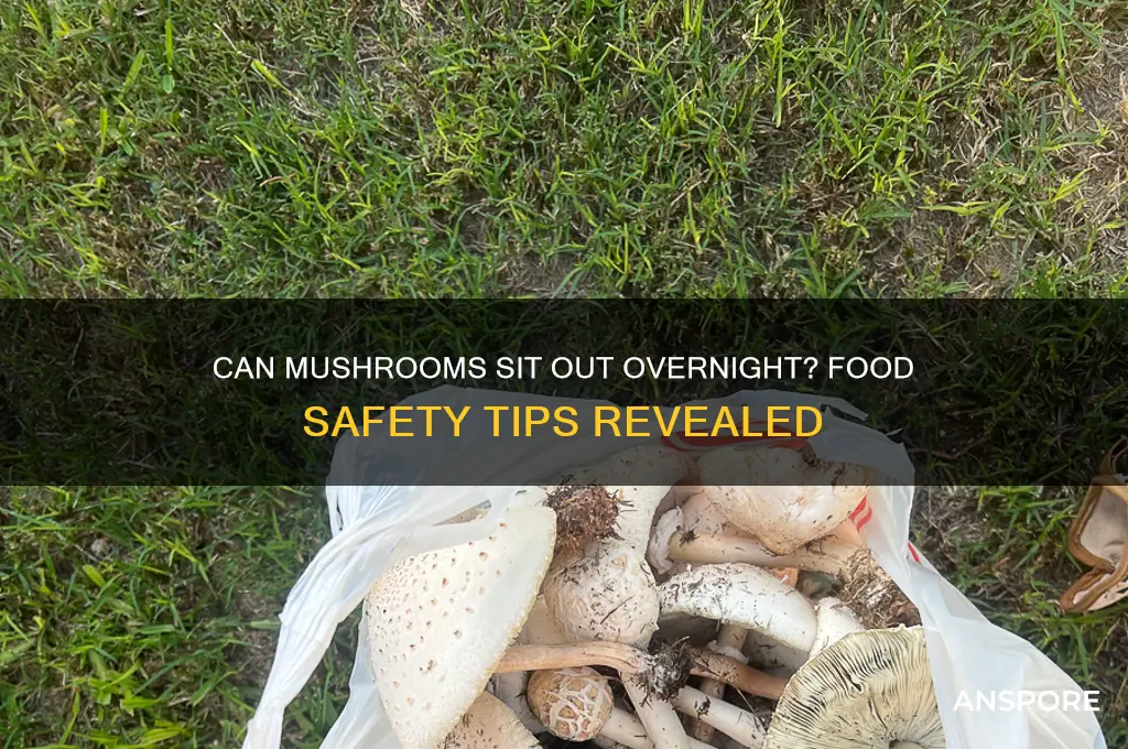 can i leave mushrooms out overnight