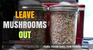 Can Mushrooms Be Left Out Overnight? Safety Tips and Storage Guide