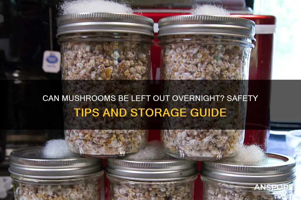 can i leave mushrooms out