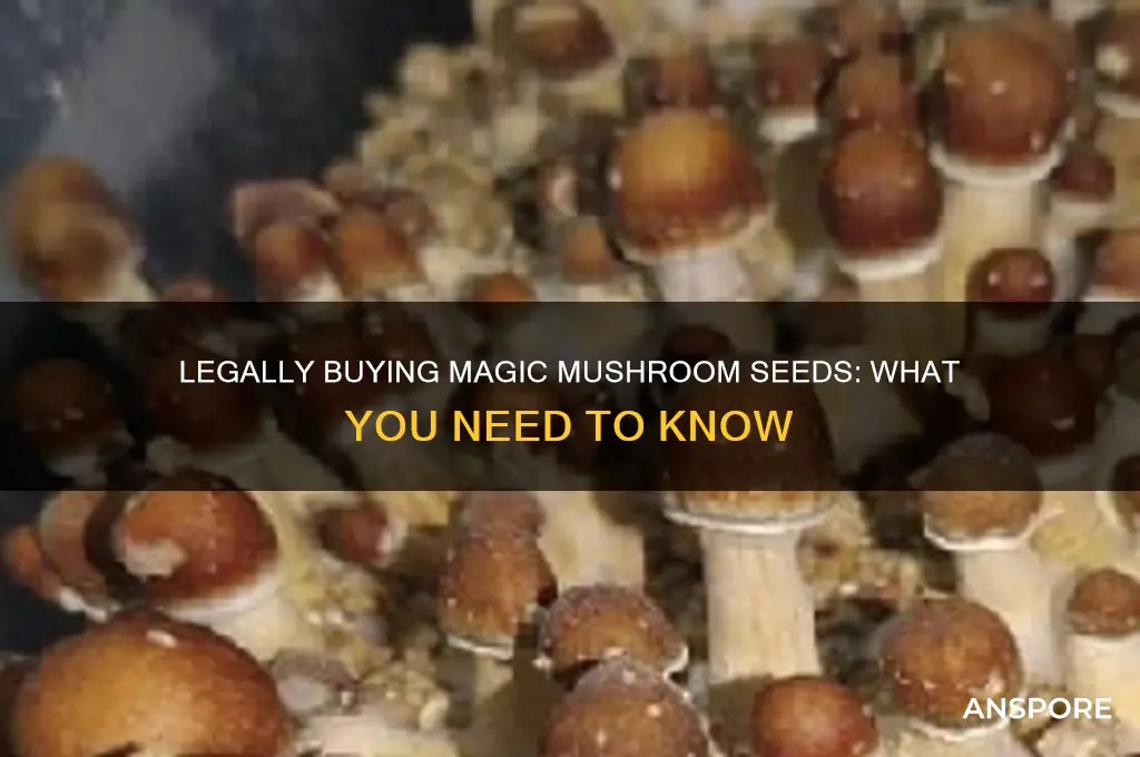 can i legallg buy magic mushroom seeds