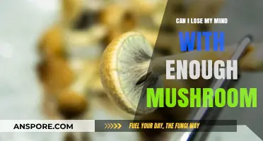 Exploring the Limits: Can Mushrooms Lead to Losing Your Mind?