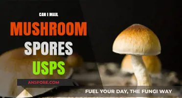 Mailing Mushroom Spores via USPS: Legalities and Safe Shipping Practices