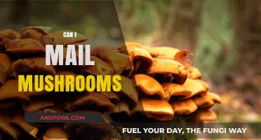 Can You Mail Mushrooms? Legal, Safe, and Practical Tips Explained