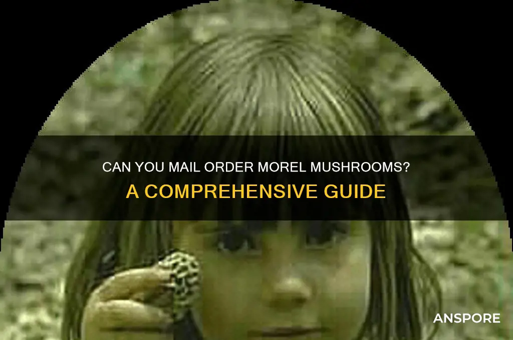 can i mail order morel mushrooms