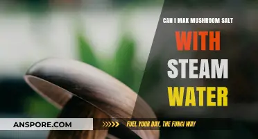 Crafting Mushroom Salt: Using Steam Water for Flavorful Seasoning