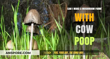 Transforming Cow Manure into Mushroom Gold: A Sustainable Farming Guide