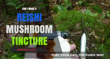How to Make a Reishi Mushroom Tincture at Home: A Guide