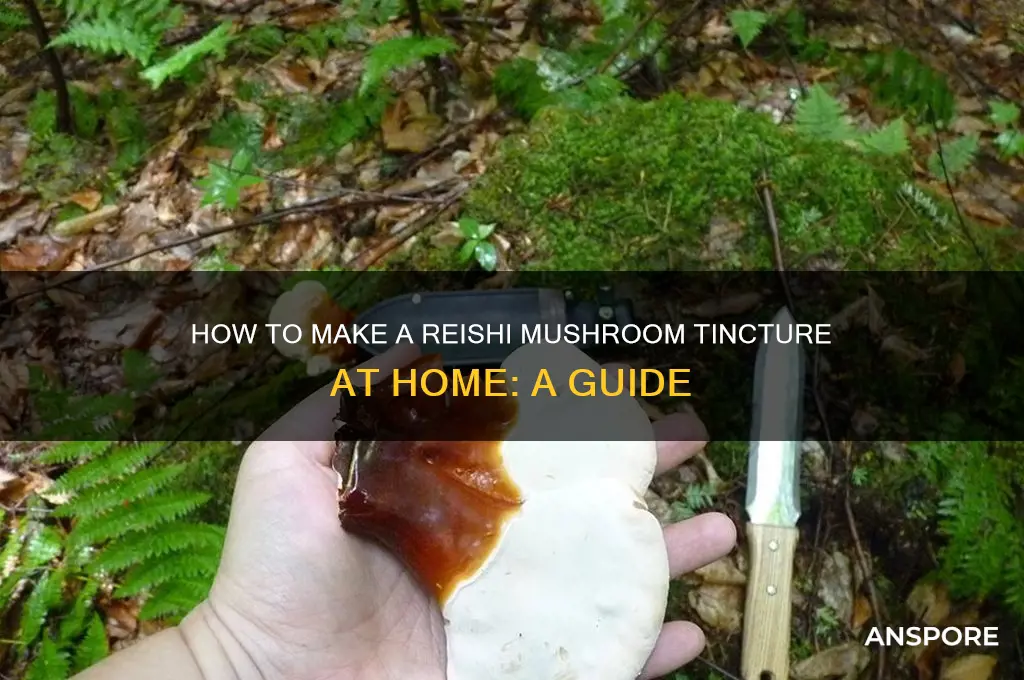 can i make a reishi mushroom tincture