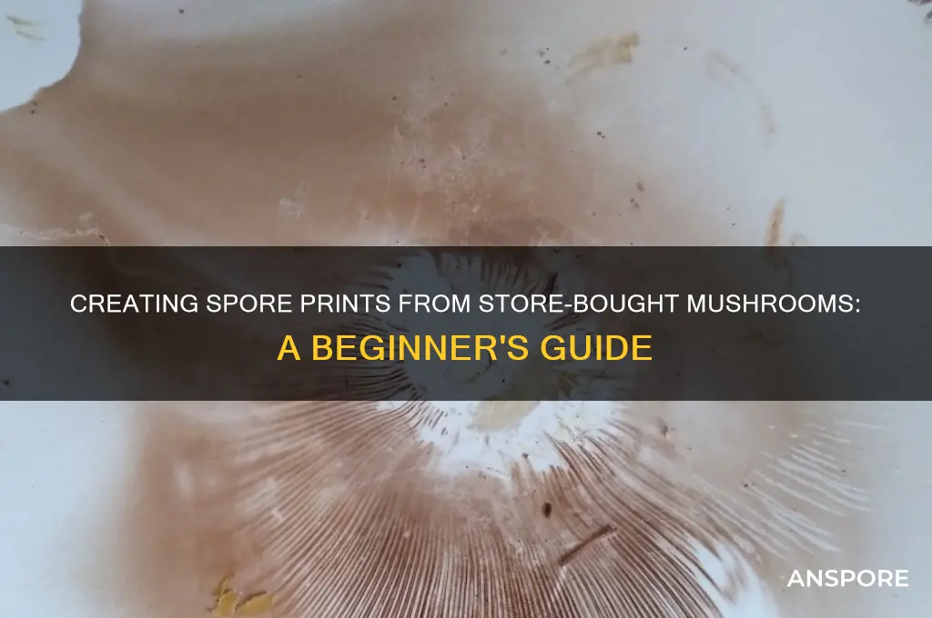 can i make a spore print from store mushrooms