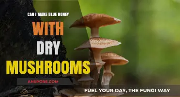 Creating Blue Honey with Dry Mushrooms: A Step-by-Step Guide