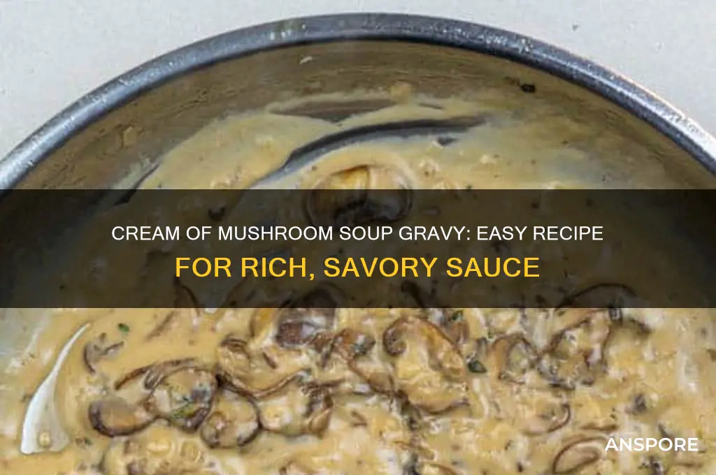 can i make gravy from cream of mushroom soup
