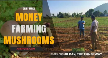 Profitable Mushroom Farming: A Guide to Earning from Fungi Cultivation